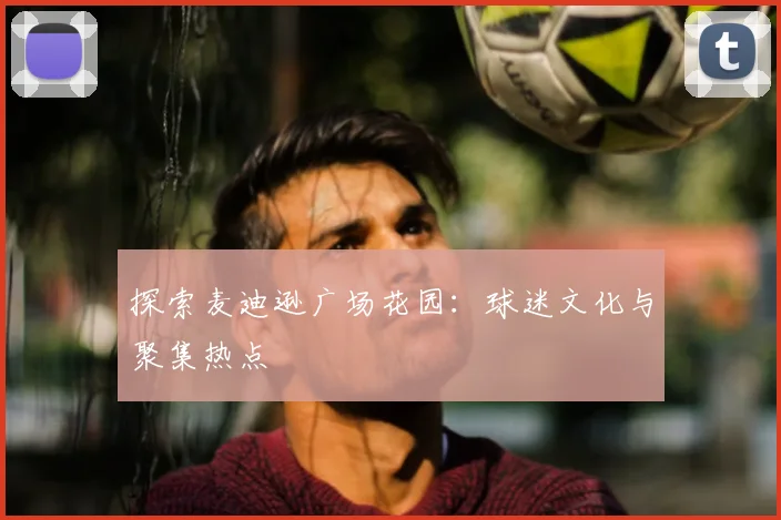 探索麦迪逊广场花园：球迷文化与聚集热点