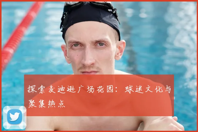 探索麦迪逊广场花园：球迷文化与聚集热点